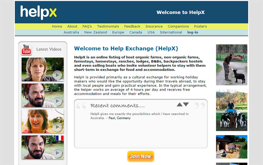 helpx-intercambio-trabajo-mi-vida-freelance